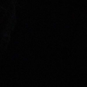 Meet your Posher, Jodi